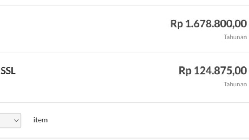 Invoice shared hosting dan SSL tahunan